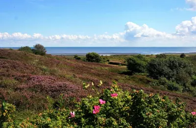 Naturlandschaft in der Nähe des Ferienhauses