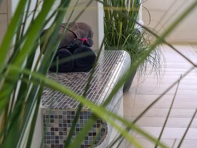 Grundriss der Unterkunft Terrassenhaus, FeWo 24