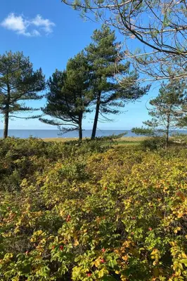 Naturlandschaft in der Nähe der Ferienwohnung
