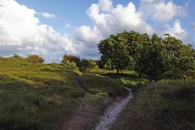 Naturlandschaft in der Nähe der Ferienwohnung