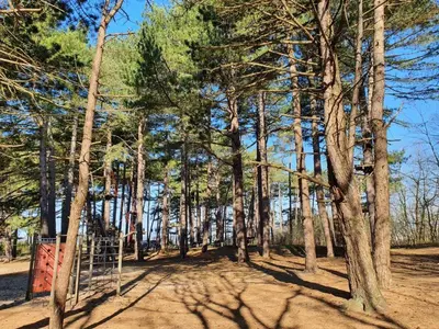 Naturlandschaft in der Nähe des Ferienhauses
