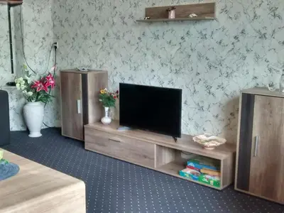 TV/Unterhaltungsangebot in der Unterkunft Apartment Geier by Interhome