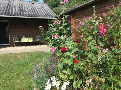 Ein Garten an der Unterkunft Holiday Home Ferienhaus De Seekobb - Direkt an der Nordseeg-Spitze by Interhome