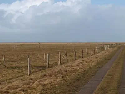 Naturlandschaft in der Nähe der Ferienwohnung