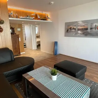 Haus-Seehund-15
