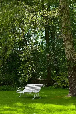 Ein Garten an der Unterkunft Erlebnishof Katthusen