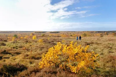Naturlandschaft in der Nähe des Ferienhauses