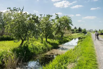 Naturlandschaft in der Nähe der Ferienwohnung