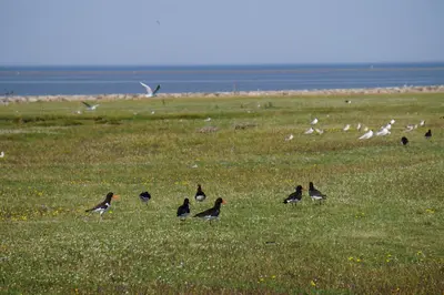 Naturlandschaft in der Nähe der Ferienwohnung