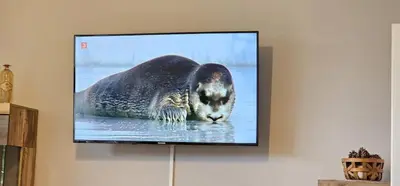 TV/Unterhaltungsangebot in der Unterkunft Appartementhaus Kogge Wohnung 6
