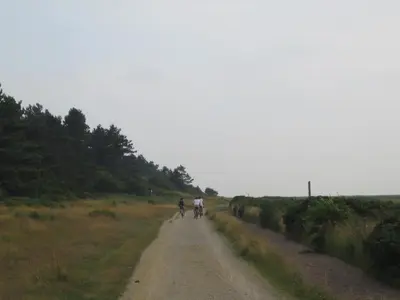 Naturlandschaft in der Nähe der Ferienwohnung