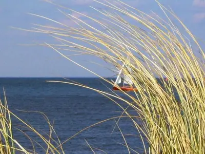 Naturlandschaft in der Nähe der Ferienwohnung