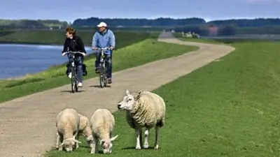Tiere in der Ferienwohnung oder in der Nähe