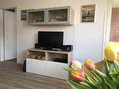 TV/Unterhaltungsangebot in der Unterkunft Vogelsand 324