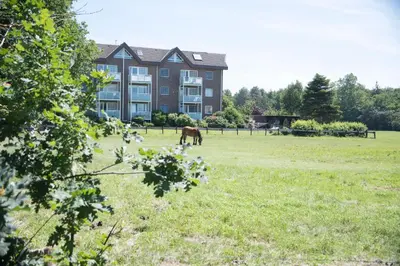 Tiere in der Ferienwohnung oder in der Nähe