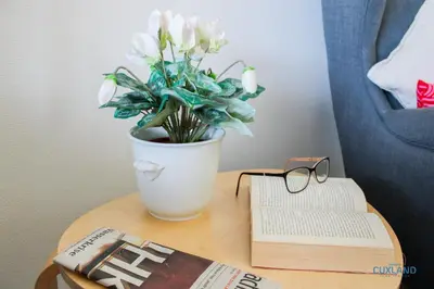 Die Bibliothek in der Ferienwohnung