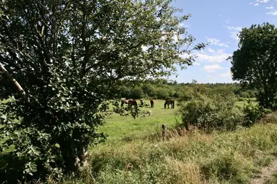 Naturlandschaft in der Nähe der Ferienwohnung