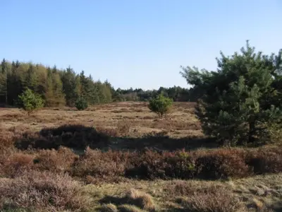 Naturlandschaft in der Nähe der Ferienwohnung