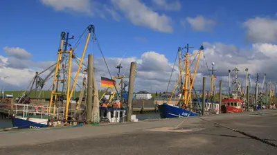 Grundriss der Unterkunft FeWo de Lark