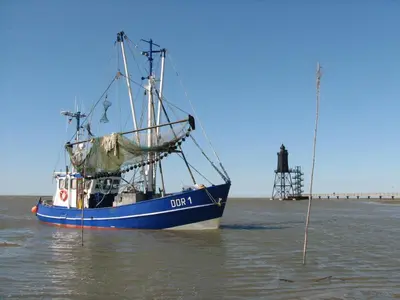 Grundriss der Unterkunft FeWo de Lark
