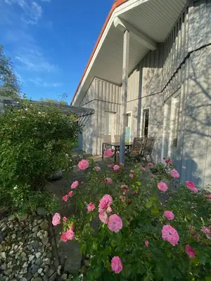 Ein Garten an der Unterkunft Ferienhaus Ryokan