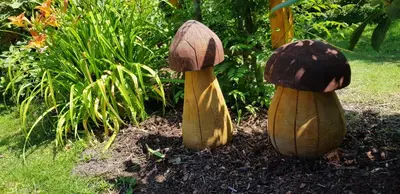Ein Garten an der Unterkunft Ferienhaus Sonnentau