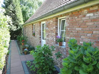 Ein Garten an der Unterkunft Olle Kolle