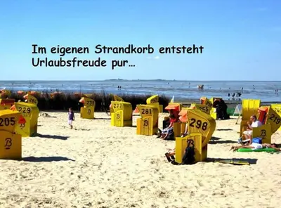 Naturlandschaft in der Nähe des Ferienhauses