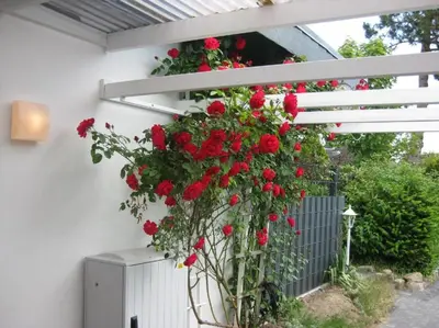 Ein Garten an der Unterkunft Satelsrönne 03