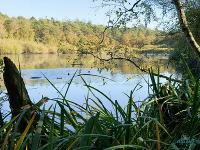Naturlandschaft in der Nähe der Ferienwohnung