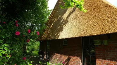 Ein Garten an der Unterkunft Haus Käthe am Deich