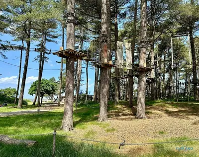 Naturlandschaft in der Nähe der Ferienwohnung