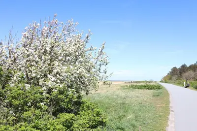Naturlandschaft in der Nähe der Ferienwohnung