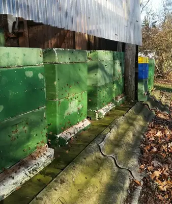 Ein Garten an der Unterkunft Ferienwohnung Wiesenweg