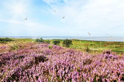 Naturlandschaft in der Nähe des Hotels