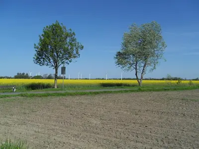 Naturlandschaft in der Nähe der Ferienwohnung