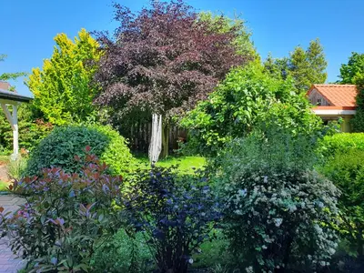Ein Garten an der Unterkunft Wunderschöne und moderne Altstadtwohnung im Herzen von Otterndorf