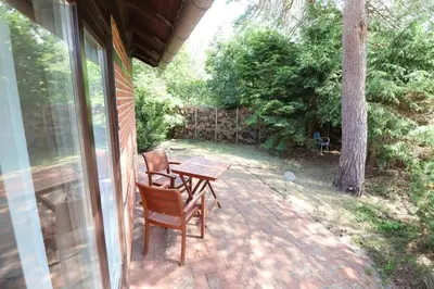 Ein Garten an der Unterkunft Haus Heideblick