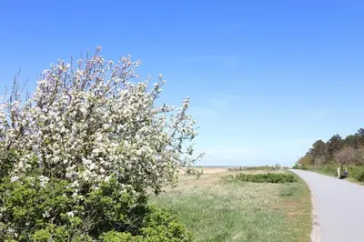 Naturlandschaft in der Nähe der Ferienwohnung