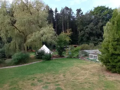 Ein Garten an der Unterkunft Casa Foresta - minimalistisches 1-Raum Tiny House direkt am Wald