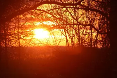 Blick auf den Sonnenuntergang/Sonnenaufgang von des Ferienhauses aus oder aus der Nähe