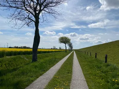 Naturlandschaft in der Nähe der Pension