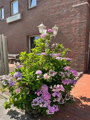 Ein Garten an der Unterkunft Deich Quartier 9.3