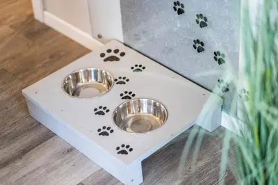 Haustiere von Gästen der Unterkunft Haus Strandläufer Apartment 0 7 See-Hund