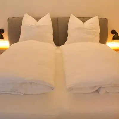 Nordseezimmer Koi