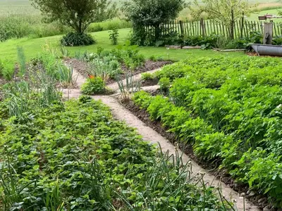 Ein Garten an der Unterkunft Ferienhof Schoof No2