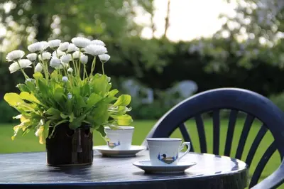 Ein Garten an der Unterkunft Ferienhof Schoof No1