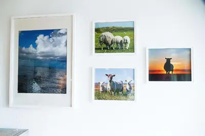 Tiere in der Ferienwohnung oder in der Nähe