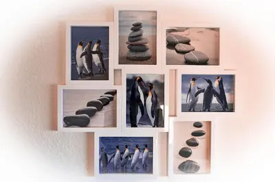 Grundriss der Unterkunft Strandhochhaus SHE9