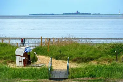 Naturlandschaft in der Nähe der Ferienwohnung